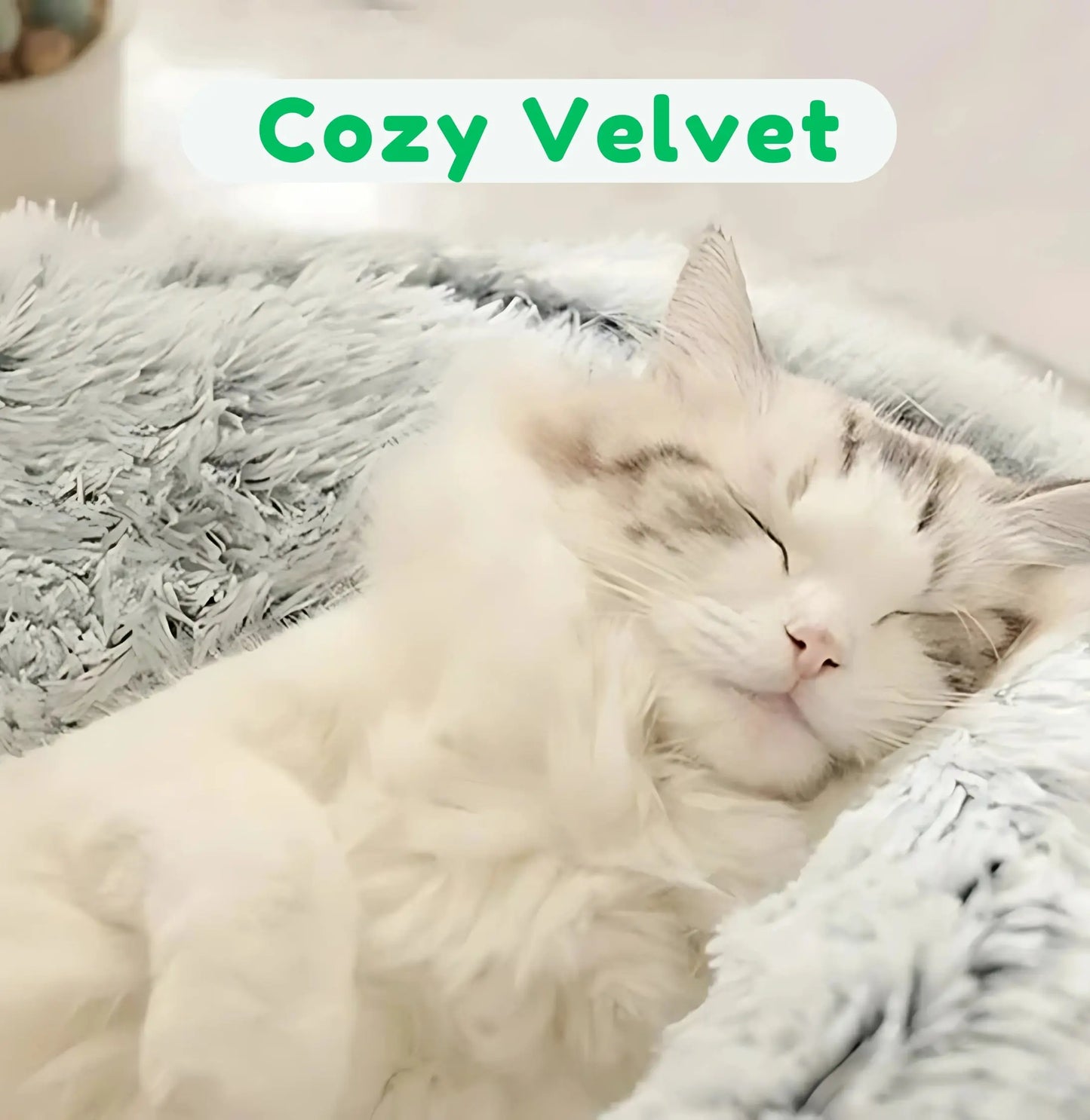 CozyNest Sweet Monkey